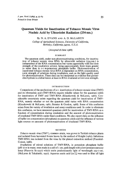 Quantum Yields for Inactivation of Tobacco Mosaic Virus Nucleic