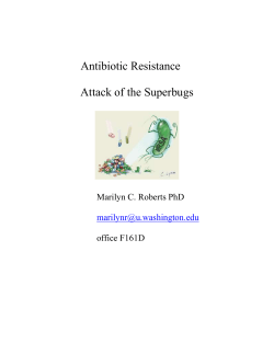 Antibiotic Resistance