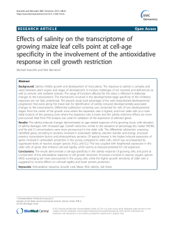 Effects of salinity on the transcriptome of growing maize leaf cells