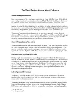 The Visual System: Central Visual Pathways
