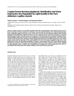 Cryptochrome Nucleocytoplasmic Distribution and Gene