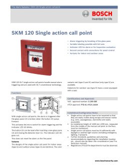 SKM 120 Single action call point