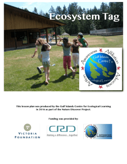 Ecosystem Tag - Eco Learning Hive