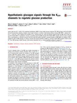 Hypothalamic glucagon signals through the KATP channels to