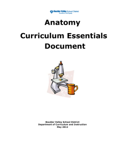 Anatomy - BVSD Content Hub
