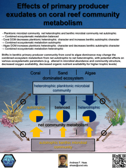 Effects of primary producer exudates on coral