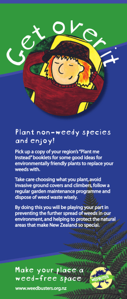 Plant non-weedy species and enjoy! Make your