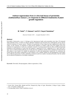 Indirect regeneration from in vitro leaf tissue of periwinkle