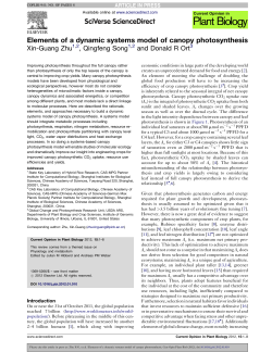 Elements of a dynamic systems model of canopy photosynthesis