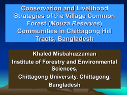 The Impact of Shrimp Farming on Environment in Bangladesh