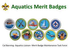 Aquatics Merit Badges - Boy Scouts of America