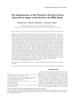The Organization of the Posterior Parietal Cortex Devoted to Upper