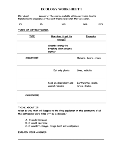 Only about ______ percent of the energy available within one