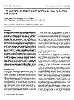 The rejoining of double-strand breaks in DNA by human cell extracts