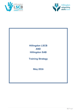 joint-lscb-sab-training-strategy-may-2016