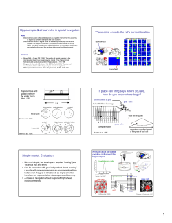 Place cells