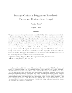 Strategic Choices in Polygamous Households: Theory