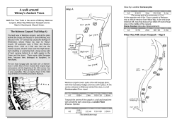 A walk around Witney`s Ancient Trees