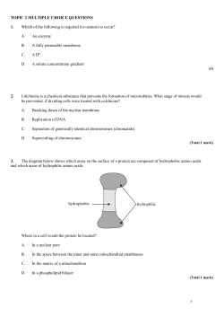 TOPIC 2 MULTIPLE CHOICE QUESTIONS 1. Which of the following is