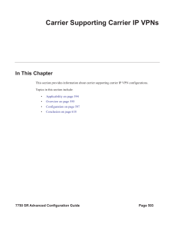 Carrier Supporting Carrier IP VPNs - Alcatel