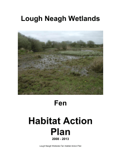 5.2. Fen Habitat Action Plan