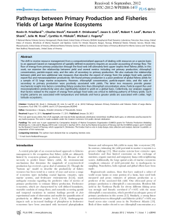 Pathways between Primary Production and Fisheries Yields