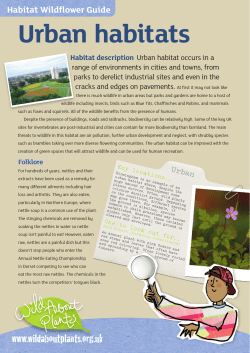 Urban habitats - Wild About Plants
