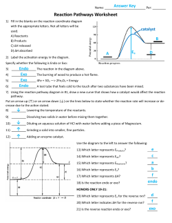 Reaction Pathways Worksheet
