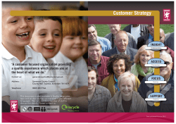 Customer Strategy - Somerset County Council