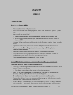 chapter 18 microbial models: the genetics of viruses