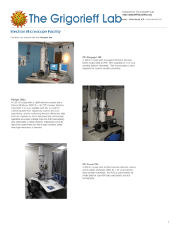 Electron Microscope Facility