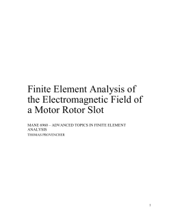 Finite Element Analysis of the Electromagnetic Field of