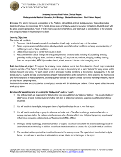 Anatomy Class Introduction to the First Patient