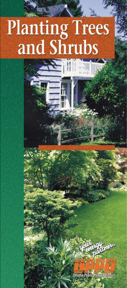 Planting Trees and Shrubs