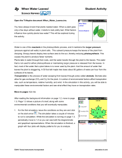 Summary of lesson - TI Education