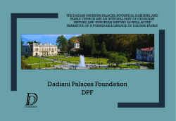 dadiani union - llcgeoholding