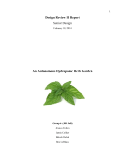 Design Review II Report