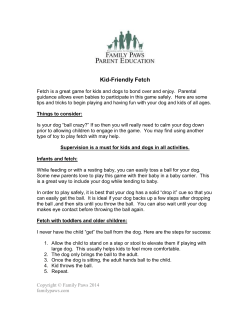 Kid friendly fetch - Deer Run Animal Hospital