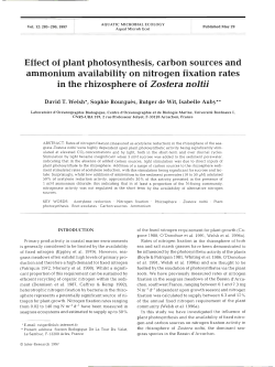 Effect of plant photosynthesis, carbon sources and