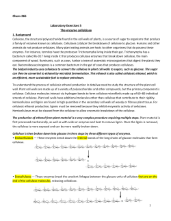 Lab_Exercise_5-_Cellobiase_