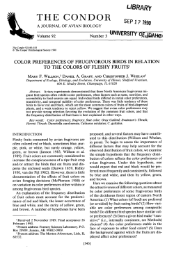 Color Preferences of Frugivorous Birds in Relation to the Colors of