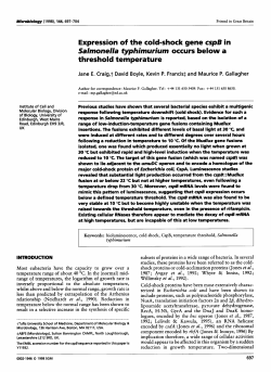 Expression of the cold-shock gene cspB in