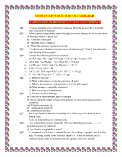 summer break homework of class x english