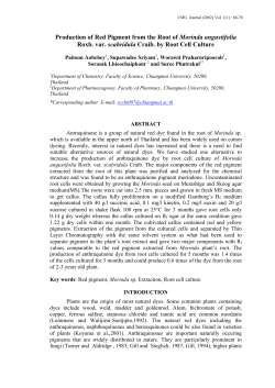 Production of Red Pigment from the Root of Morinda angustifolia