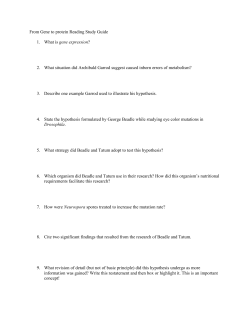 From Gene to protein Reading Study Guide What is gene