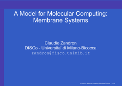 A Model for Molecular Computing: Membrane Systems