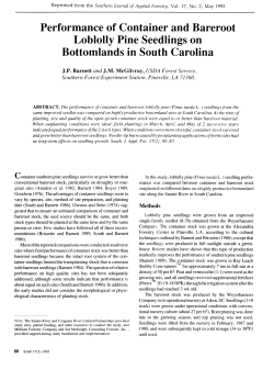 Performance of Container and Bareroot Loblolly Pine