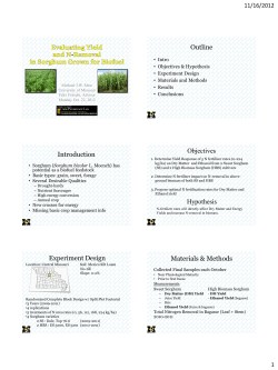 Outline Introduction Objectives Hypothesis Experiment Design