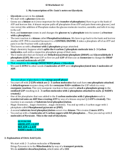 SI Worksheet 12 1. My transcription of Dr. Cusic`s notes on