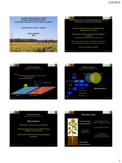 Many questions: Plant water status